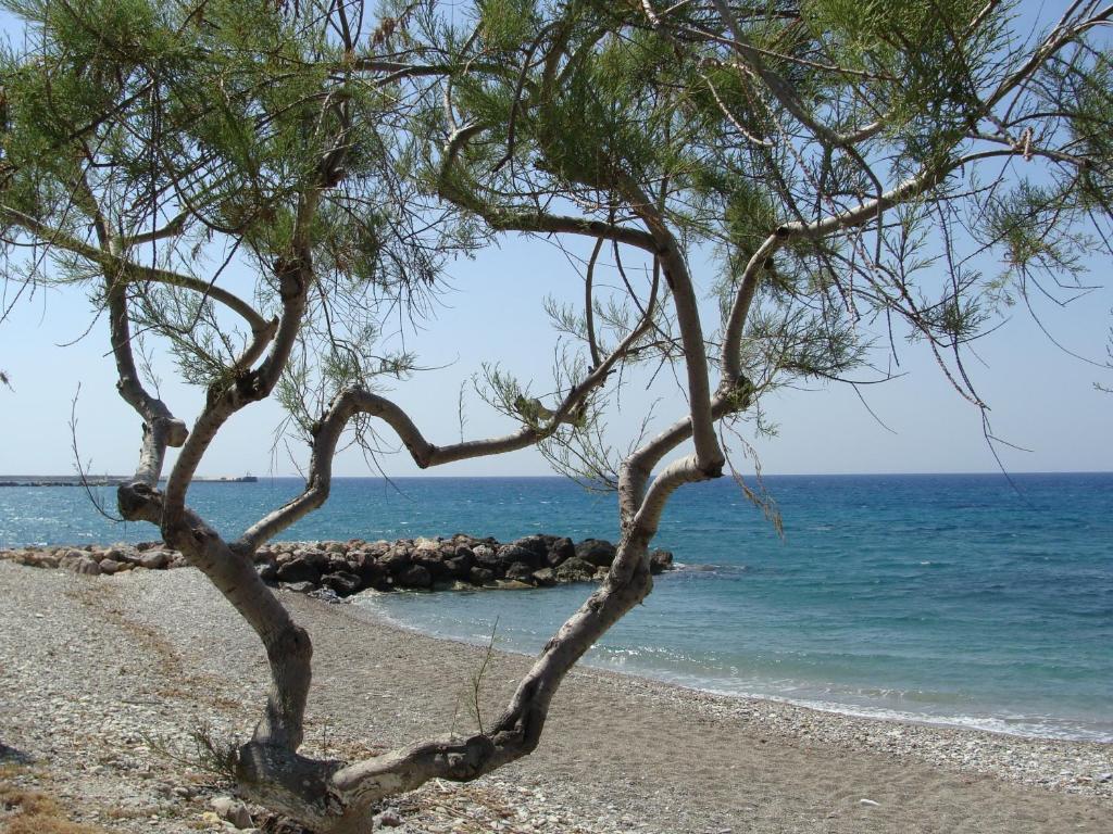 Hesperia Hotel Karlovassi Dış mekan fotoğraf